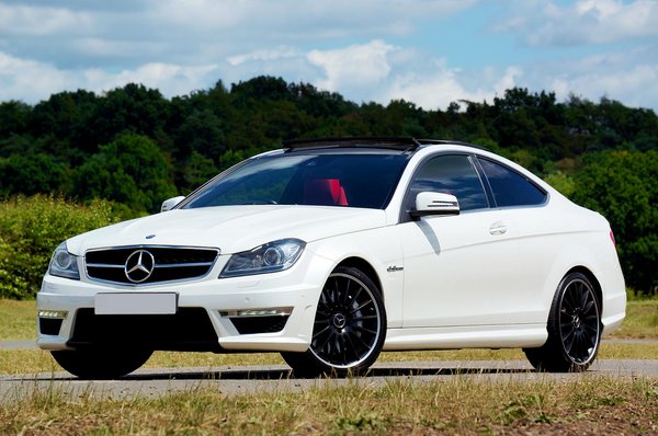 Crafting the ultimate haven: how to design a safe and enriching space for your african grey parrot